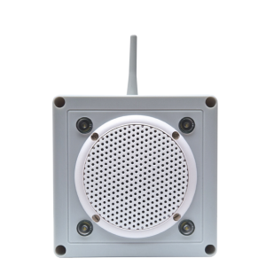 Voice Annunciator